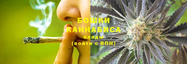 ГАЛЛЮЦИНОГЕННЫЕ ГРИБЫ Богородск