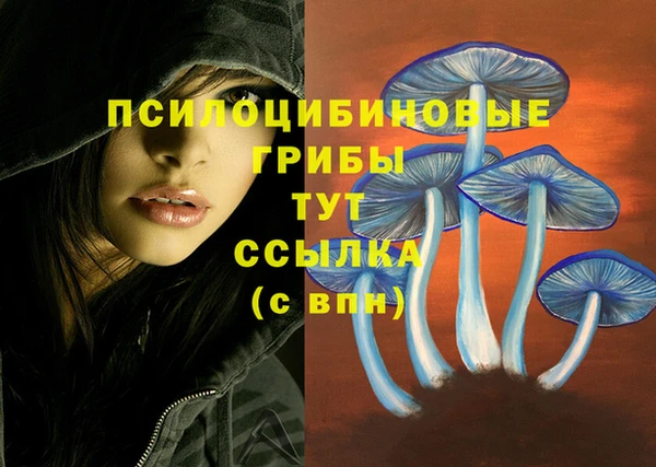 эйфоретик Верхний Тагил
