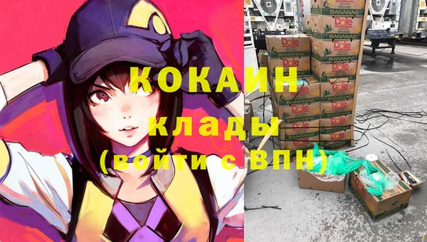 мяу мяу мука Бородино